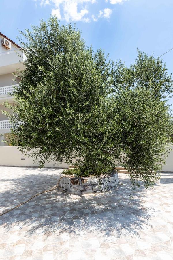 דירות Mavrovoúnion Pansion Artemis מראה חיצוני תמונה